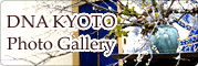 DNA KYOTO  Photo Gallery